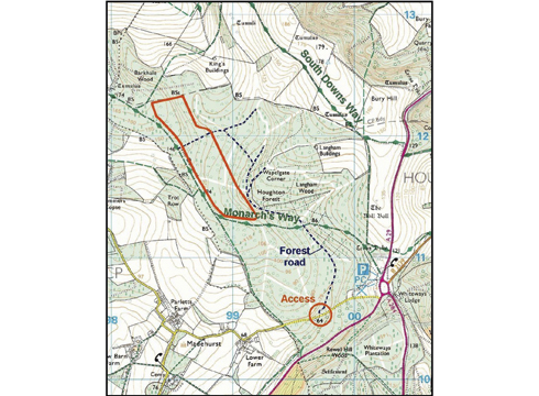 houghtonforest.jpg
