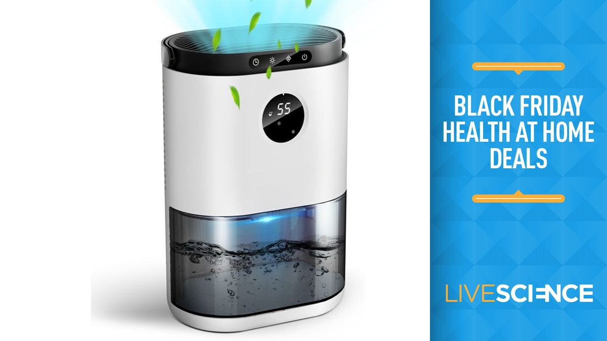 This ALROCKET Dehumidifier is under 60 for Black Friday Live Science