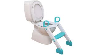 IMAGE OF A WHITE AND BLUE STEPLADDER WITH TOILET TRAINING SEAT ATTACHED