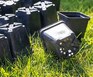 Black plastic square pots on a grassy lawn