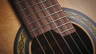 Close up of nylon guitar strings