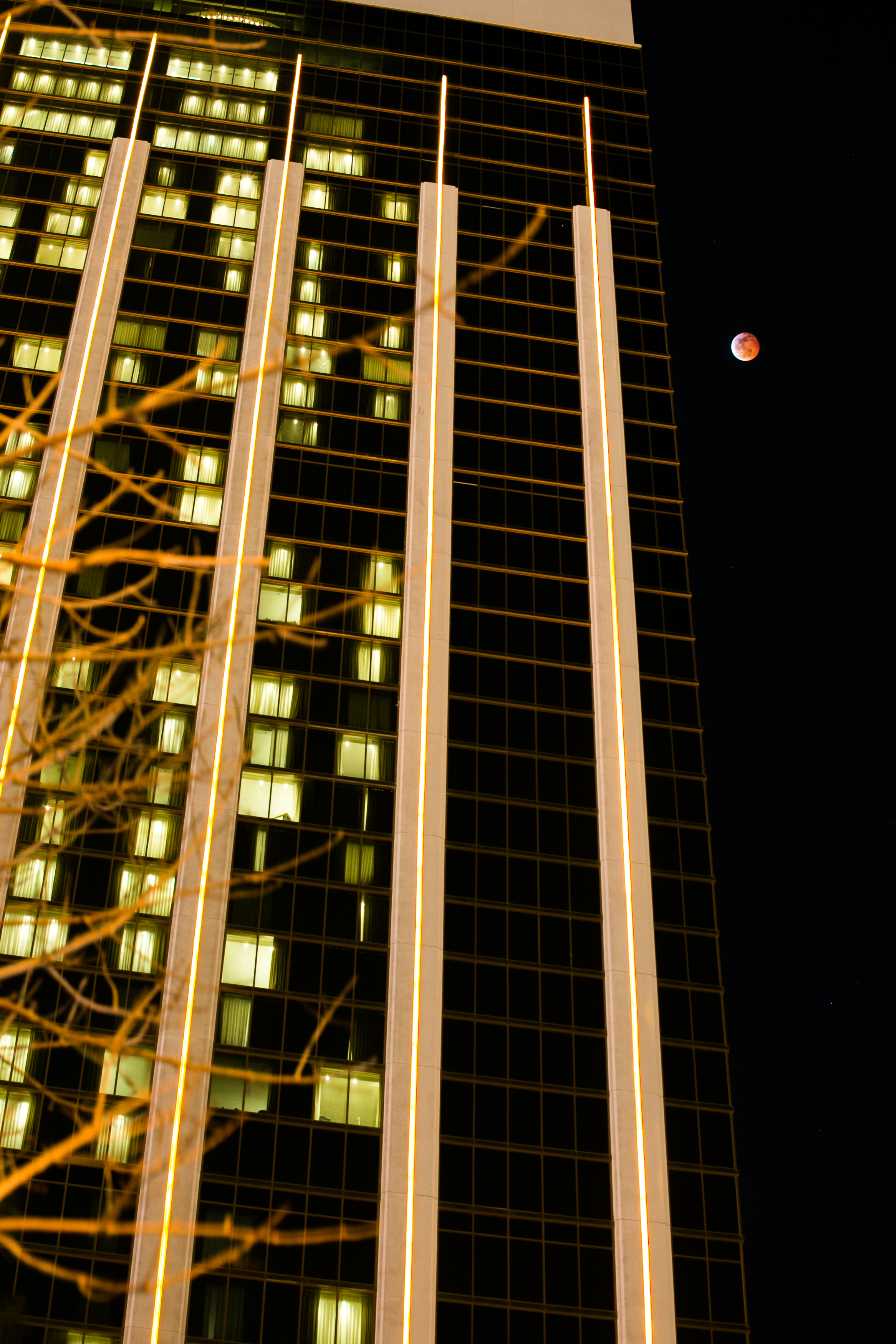 Total Lunar Eclipse 2019