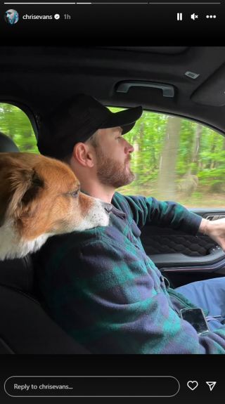 Chris Evans driving with Dodger the dog leaning on his shoulder
