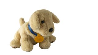 best ways to memorialize your pet — fluffy soft toy dog