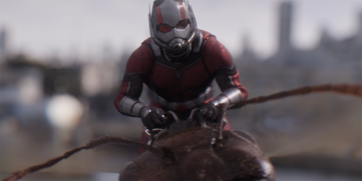 Ant-Man 3 Easter Egg Spotted In Black Panther: Wakanda Forever