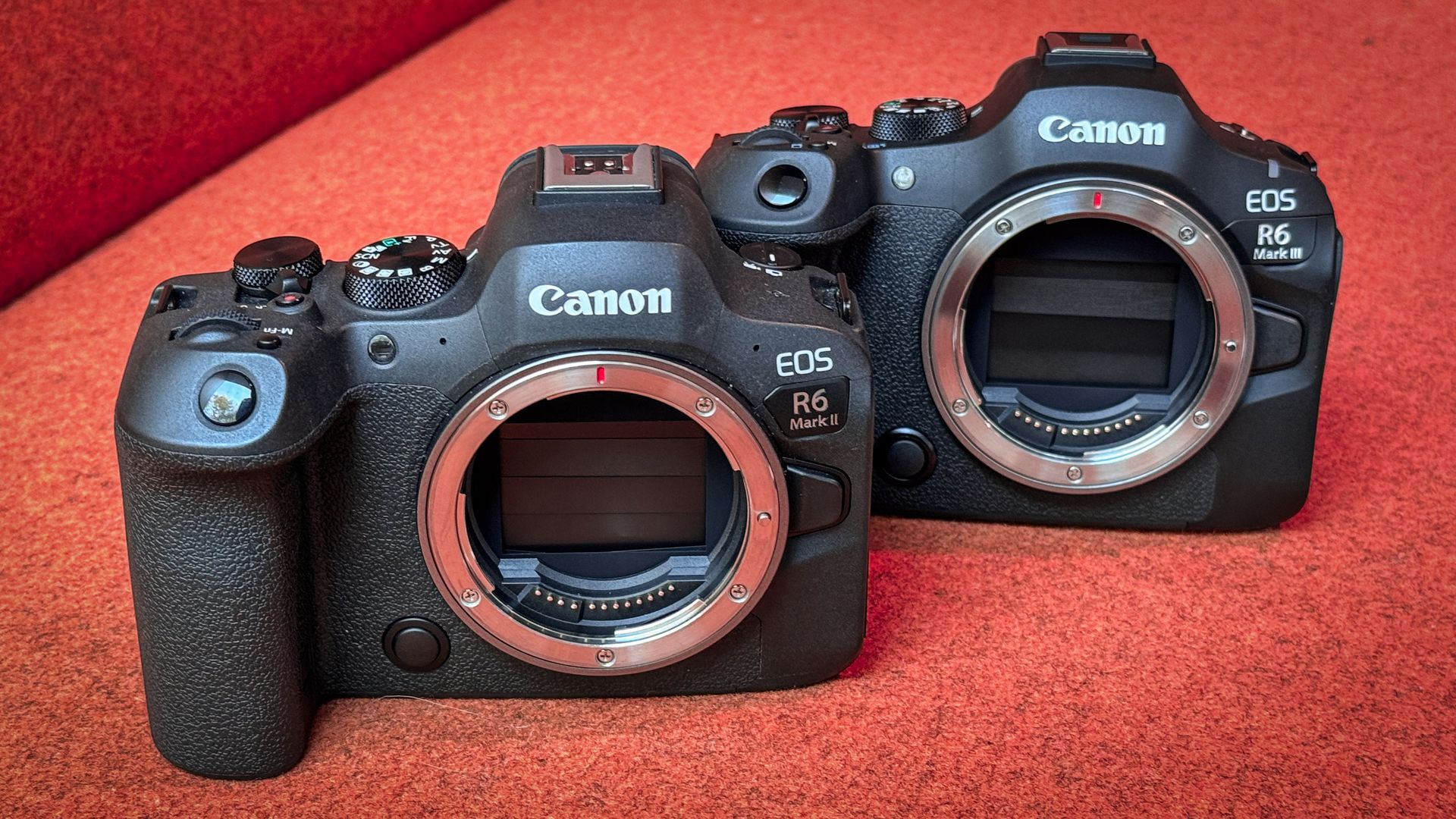 Canon EOS R6 Mark II vs R6 Mark III: What's the difference? | Digital ...