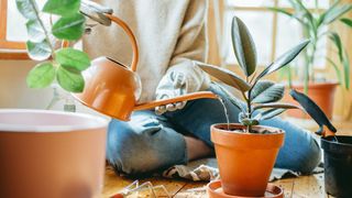 picture of woman watering her houseplants on floor