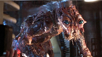 The Fly (1986)