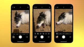iPhone Photography improve instantly
