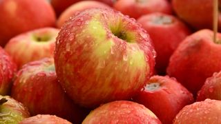 the healthiest fruits: apples