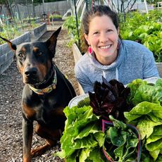 A smiling woman with her hands full of lettuce next to a dog