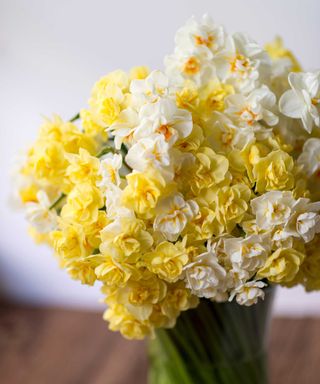 cut Narcissus Cheerfulness, Sir Winston Churchill and Bridal Crown in vase
