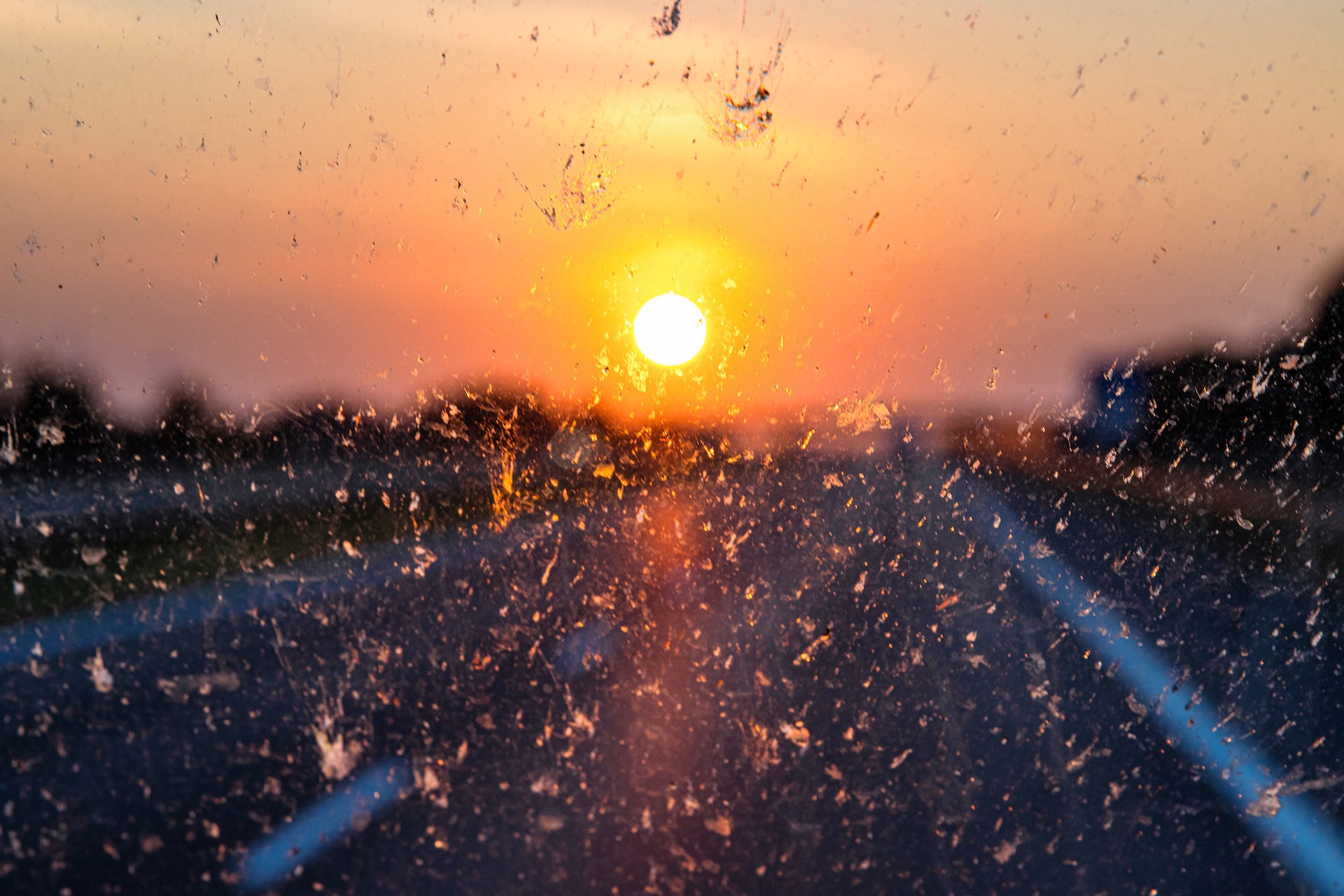 a close-up of a windshield splattered with bugs