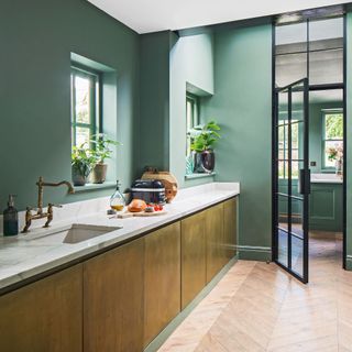 a green colour drench painted kitchen with a row of gold-fronted cabinets, an internal Crittal door into a utility/boot room