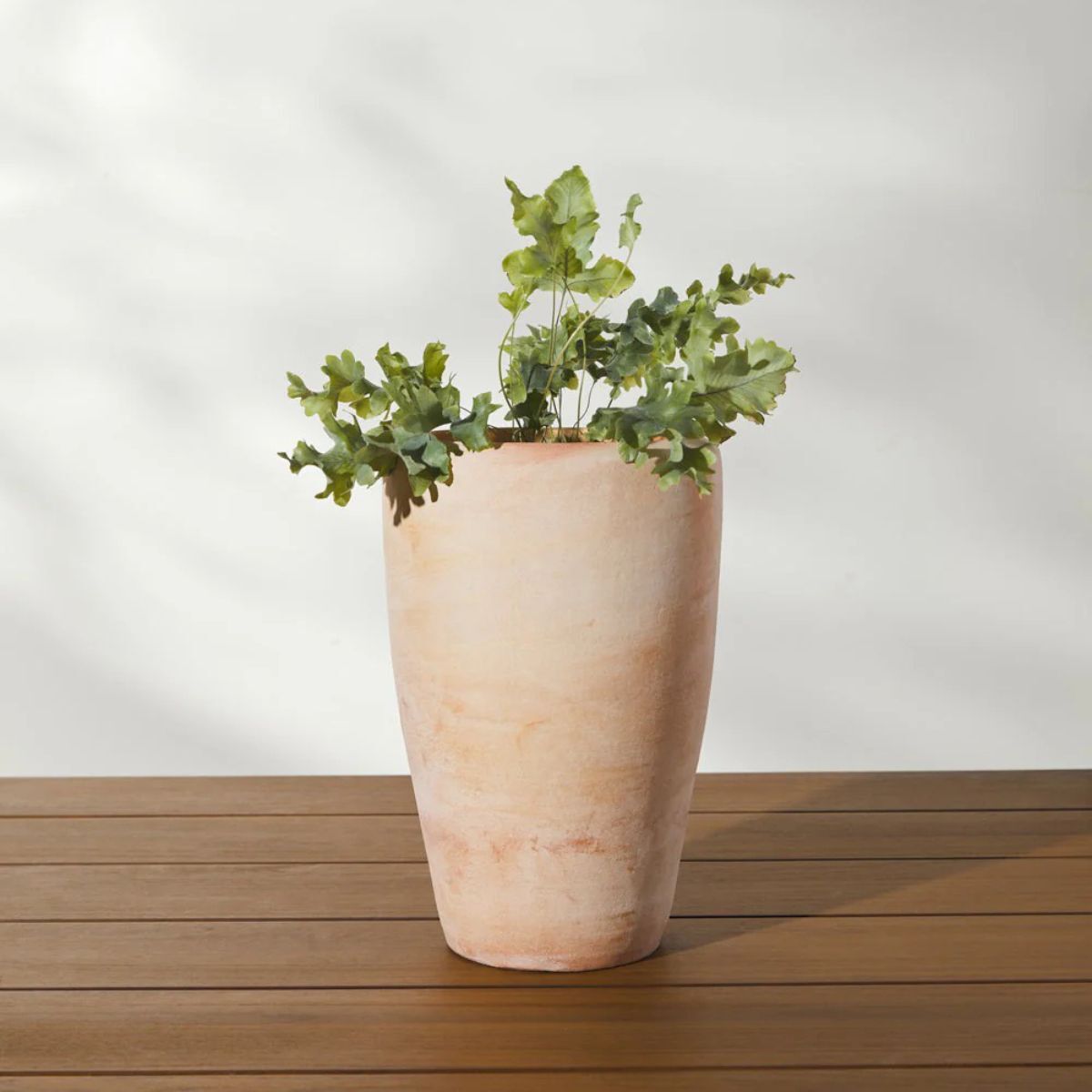 A terracotta planter 