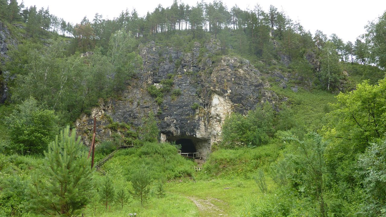The first indication of the existence of Denisovans, in the form of a finger bone, was discovered in this Siberian cave, called the Denisova Cave.