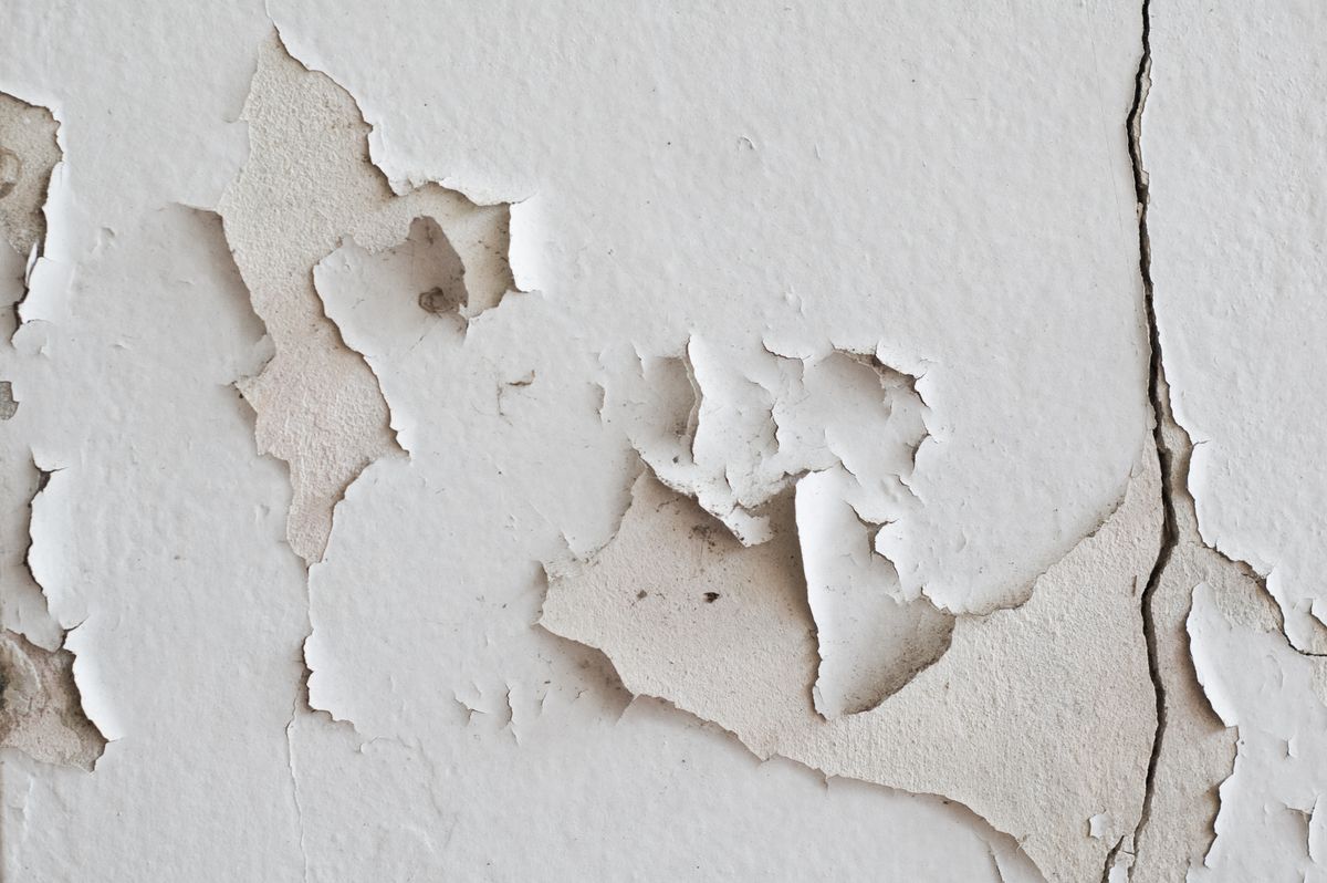 How to fix a hole in the wall – an easy DIY that's cost-effective too | Real Homes