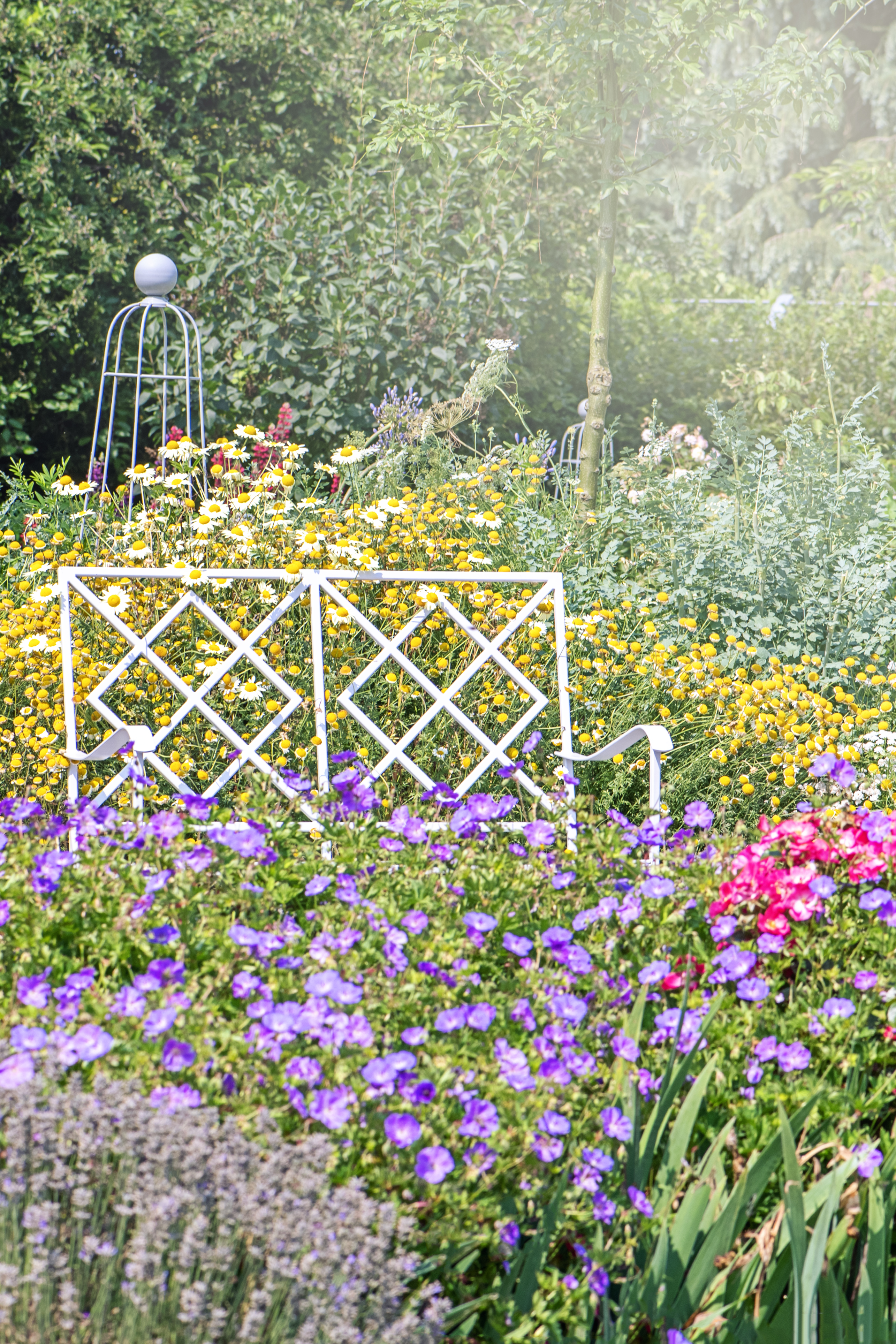 Garden bench in a pretty, blooming summer garden
