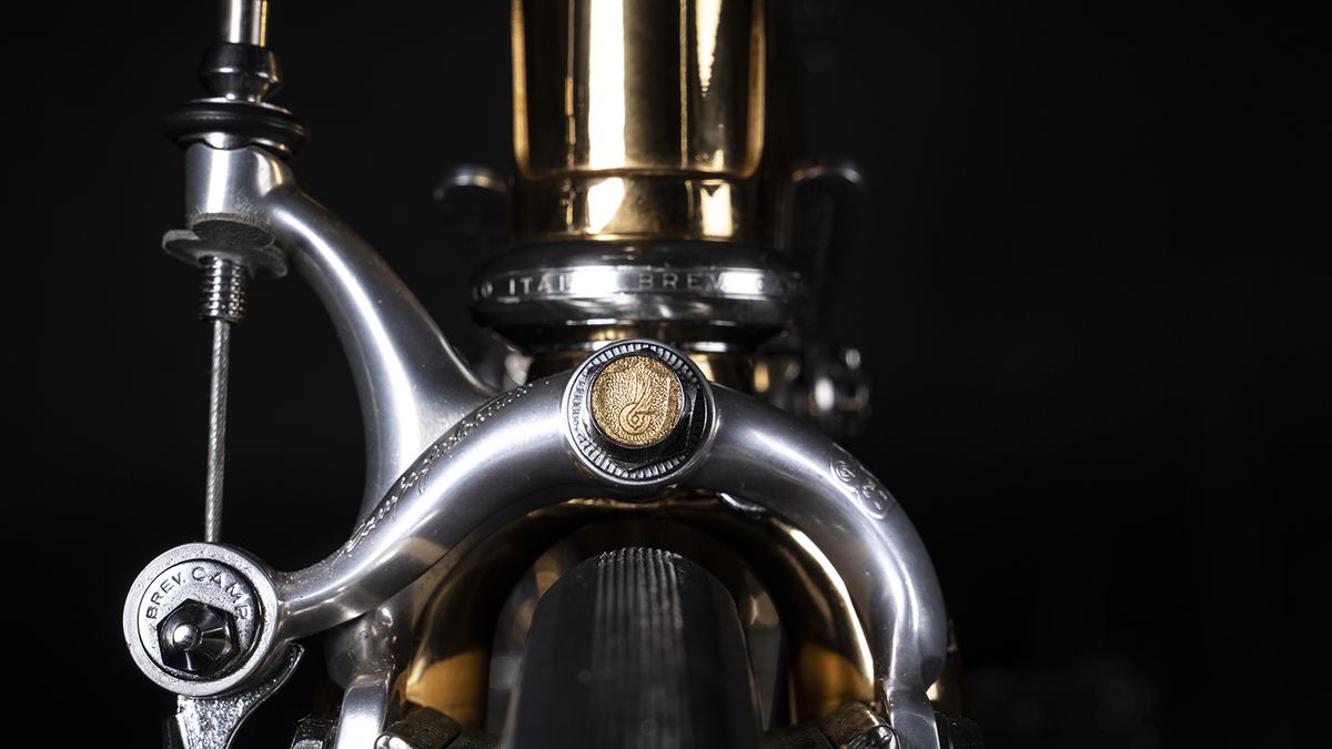 A look at the front brake