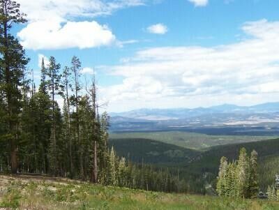 The view