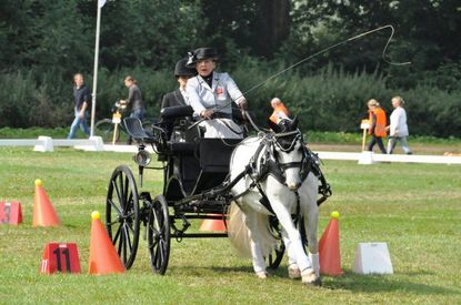 Bronze-Medalist-Debbie-Daniel-cones-phase-e1474893279624.jpg