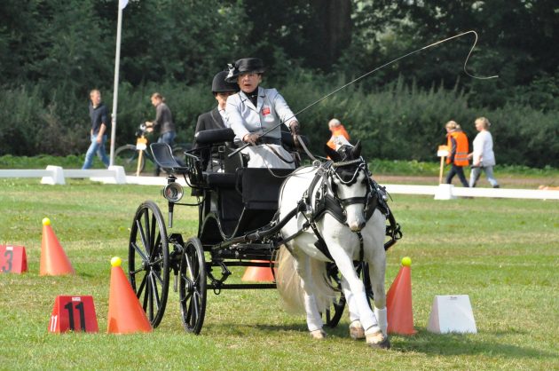 Bronze-Medalist-Debbie-Daniel-cones-phase-e1474893279624.jpg