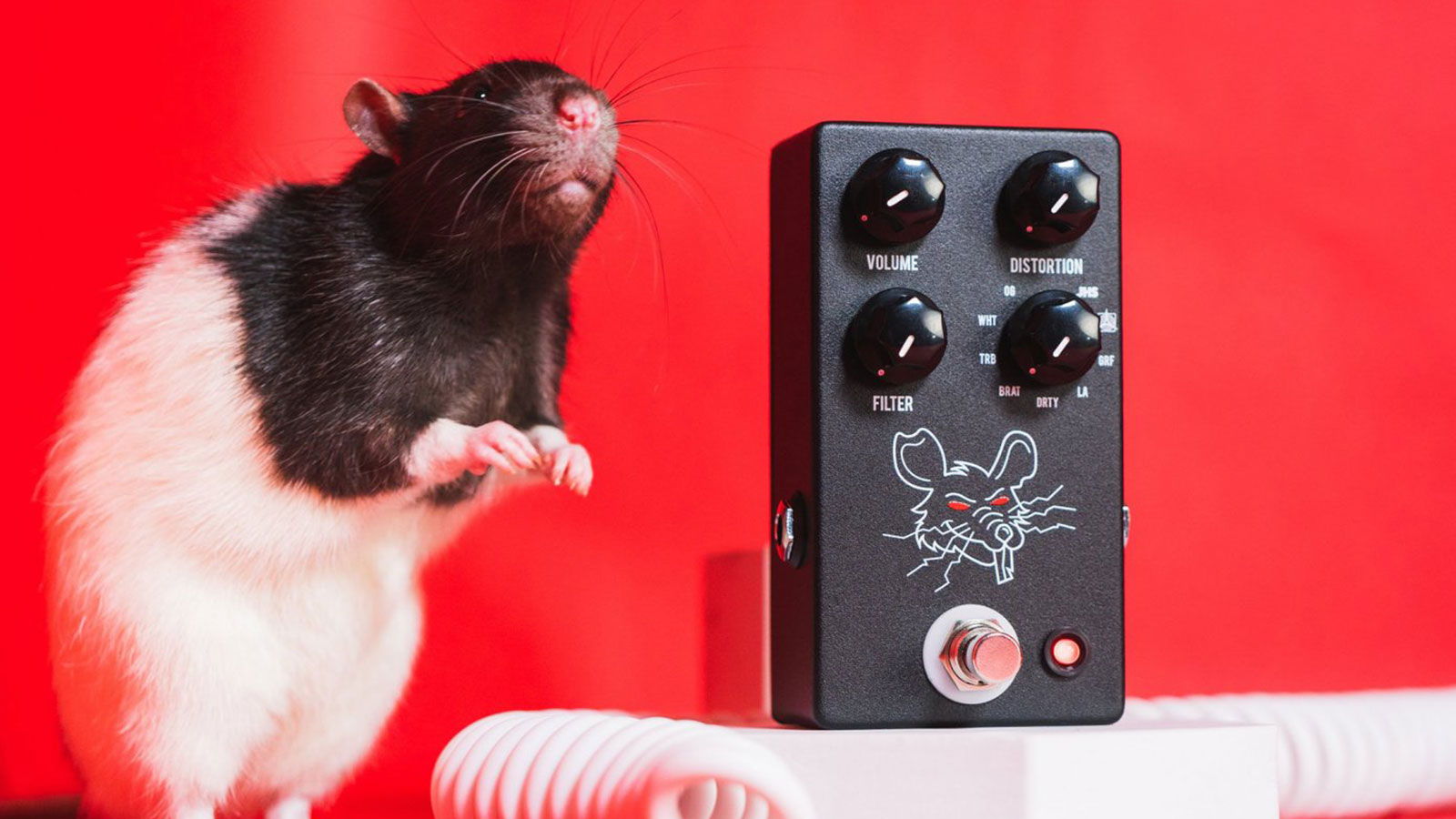 JHS Pedals' PackRat combines nine takes on the RAT distortion in one  stompbox | Guitar World