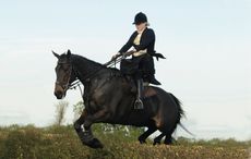 side-saddle-Phillipa-Holland.jpg
