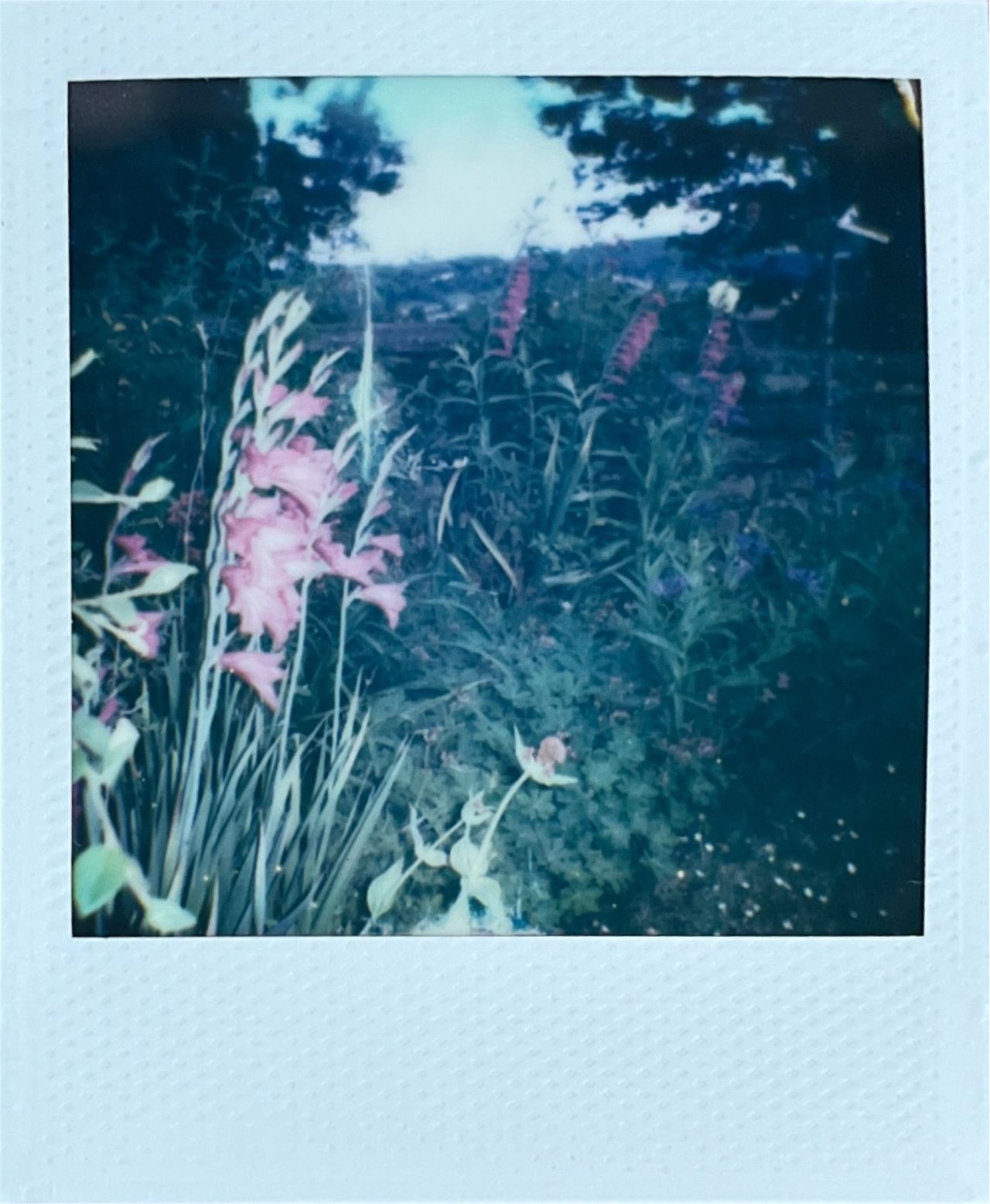 Images captured on the Polaroid Go (Gen 2) by T3's Sam Cross, and scanned using the Polaroid app