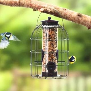 Marco Paul Squirrel Proof cage bird feeder
