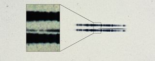 The 1917 photographic plate spectrum of van Maanen's star from the Carnegie Observatories’ archive. The pull-out box shows the strong lines of the element calcium, which are surprisingly easy to see in the century old spectrum. The spectrum is the thin, (mostly) dark line in the center of the image. The broad dark lanes above and below are from lamps used to calibrate wavelength, and are contrast-enhanced in the box to highlight the two “missing” absorption bands in the star. Available here as a standalone image.