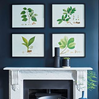 Navy living room with grid of four framed botanical prints displayed above the fireplace