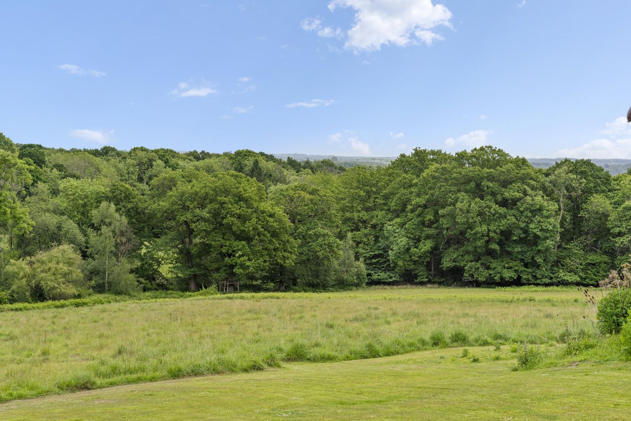 Property for Sale in East Sussex