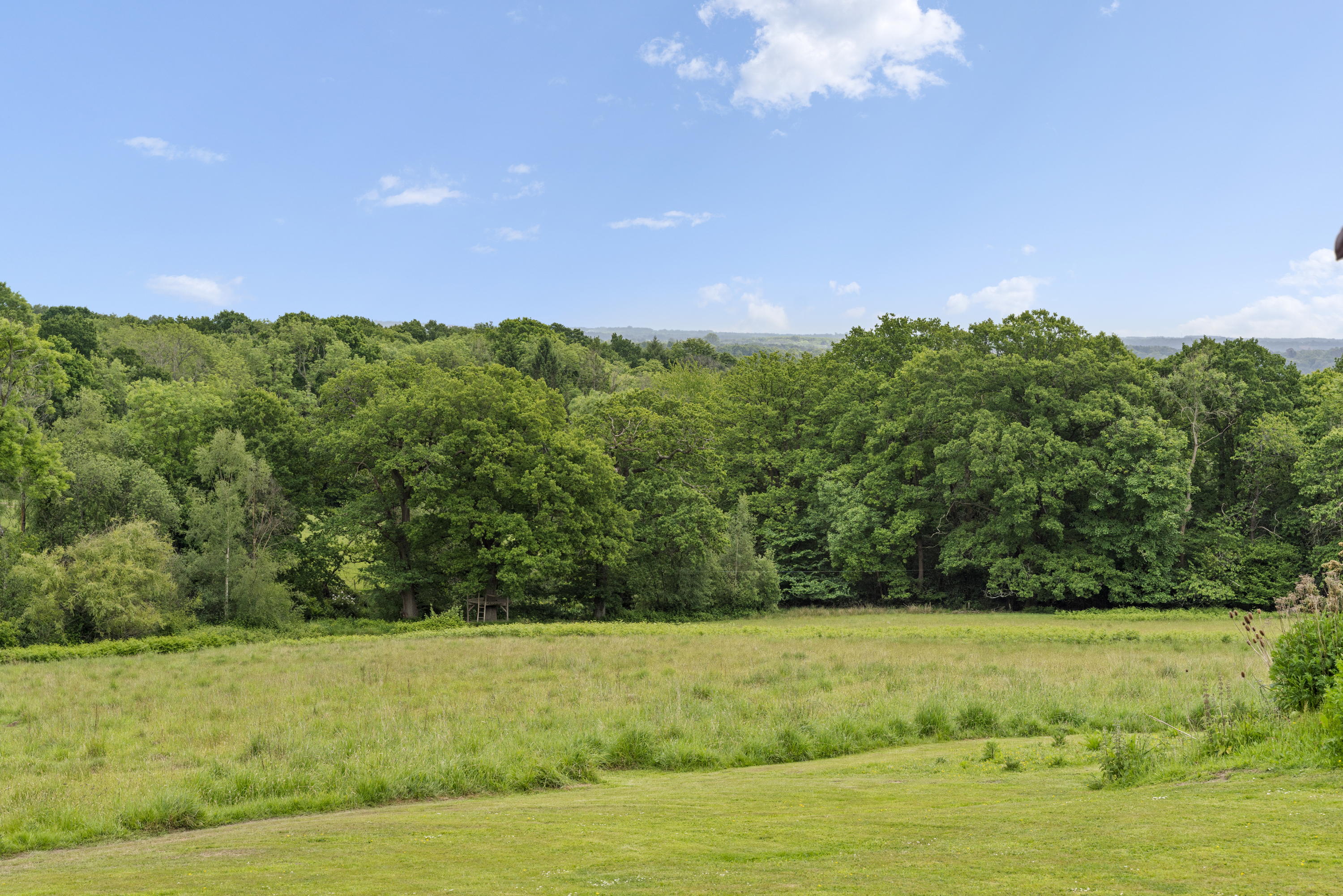Property for Sale in East Sussex