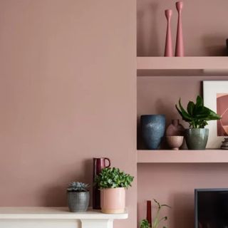 Farrow & Ball Sulking Room Pink