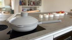 Testing the Lakeland Only Pan