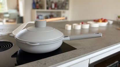 Testing the Lakeland Only Pan