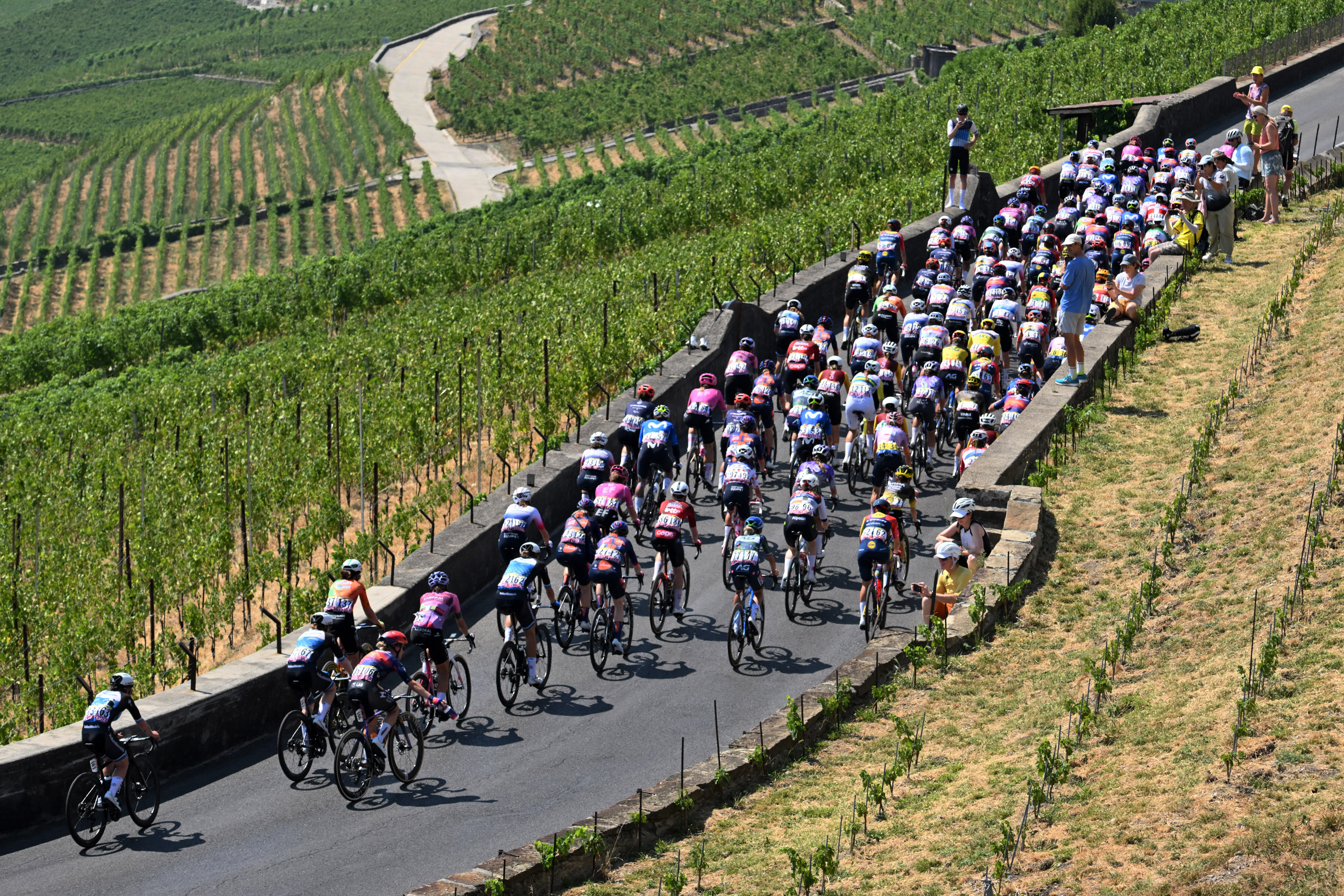 The peloton at the Tour de France Femmes