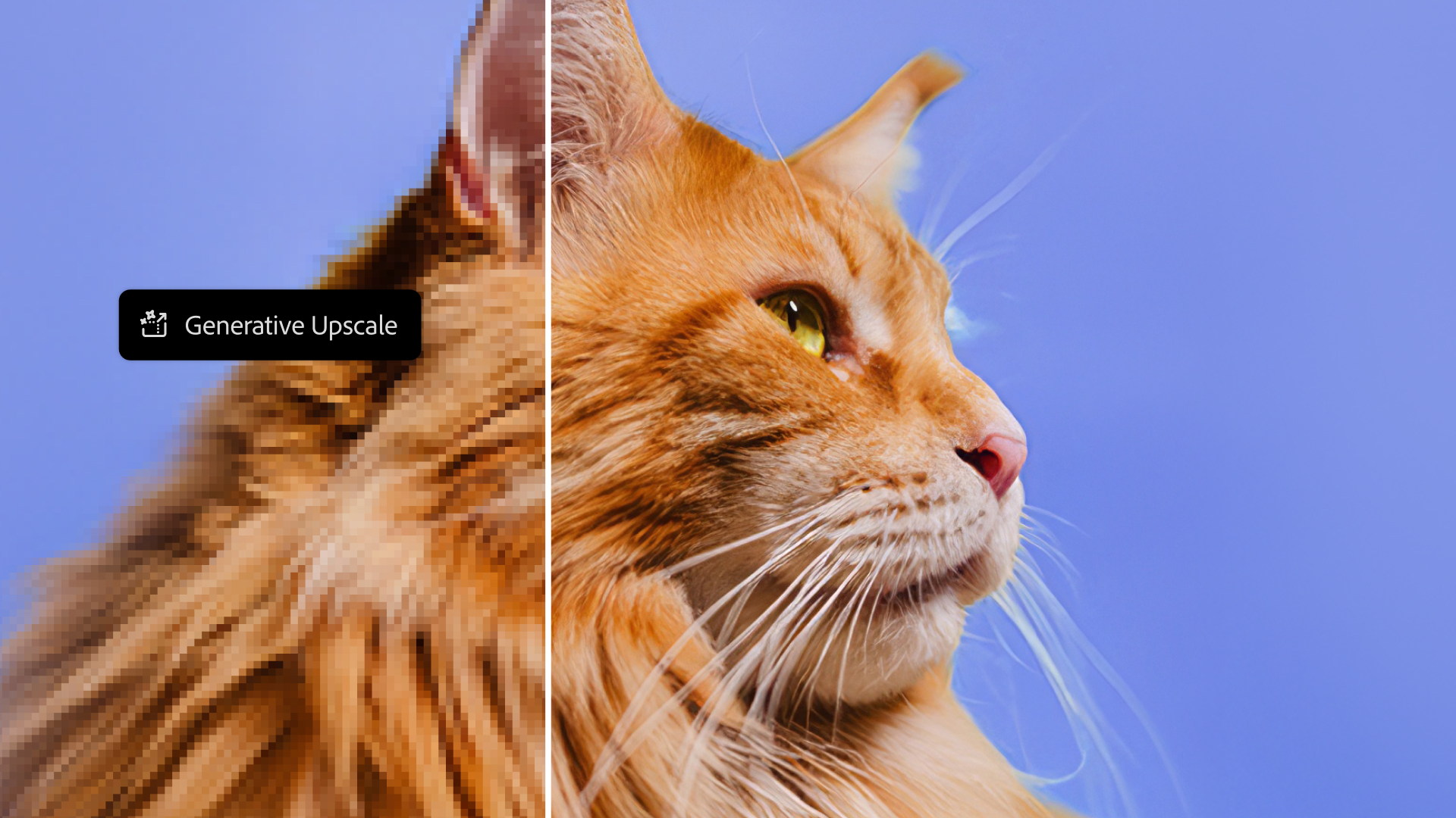 Adobe Generative Upscale screenshot, showing cat on blue background