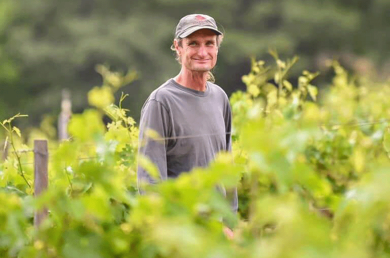 California's El Dorado AVA - Paul Bush