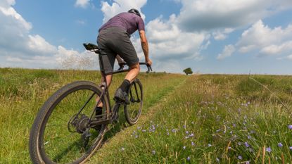 Man riding a gravel bike through a meadow