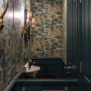 Downstairs bathroom with dark wallpaper and panelling