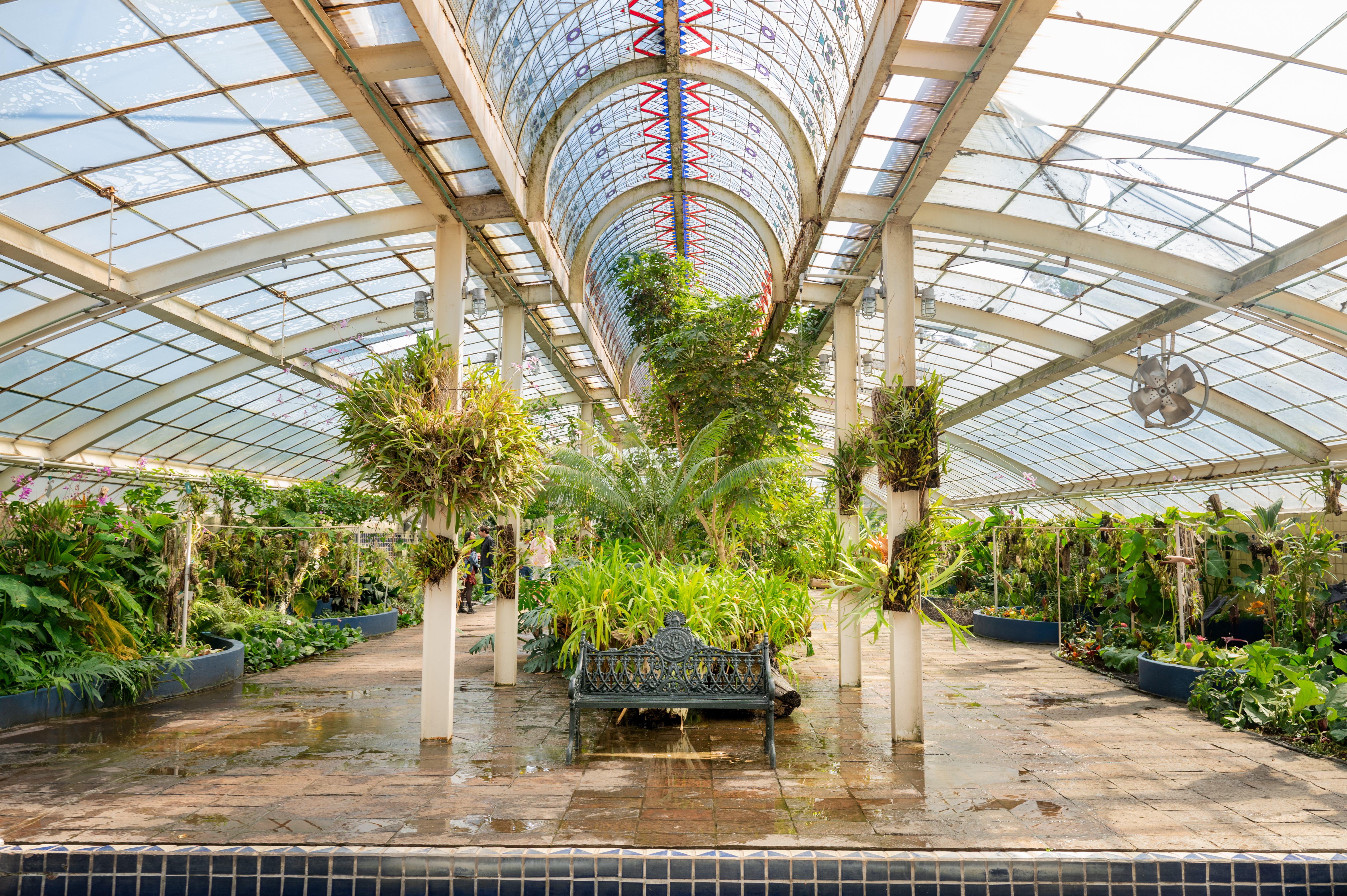 A brutalist greenhouse filled with thriving tropical plants, glazed blue tiles, and stained glass windows.
