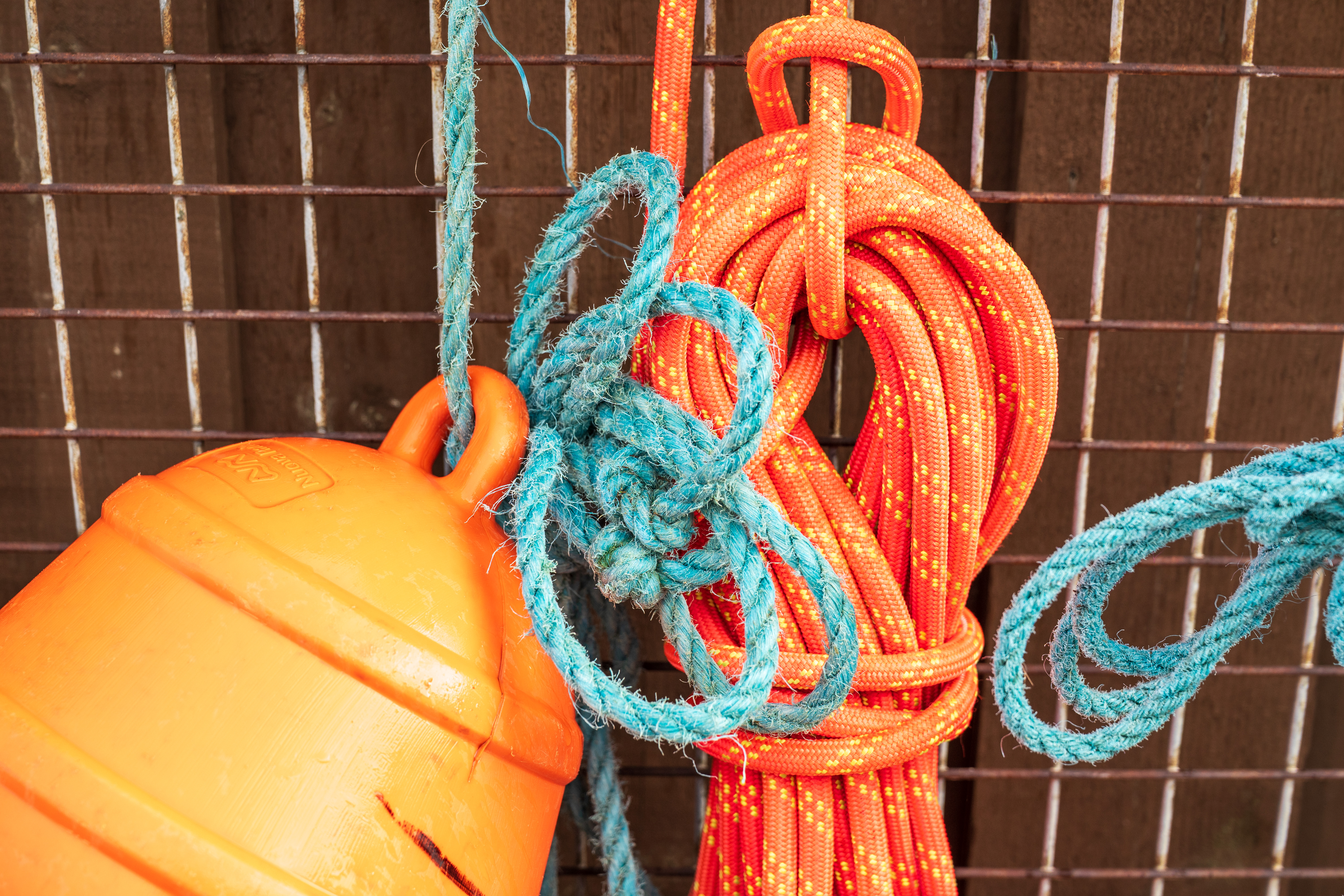 LK Samyang / Rokinon AF 24-60mm f/2.8 FE example shot