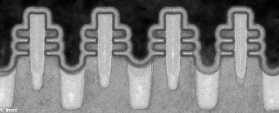 TEM image of inner wall forksheet devices.