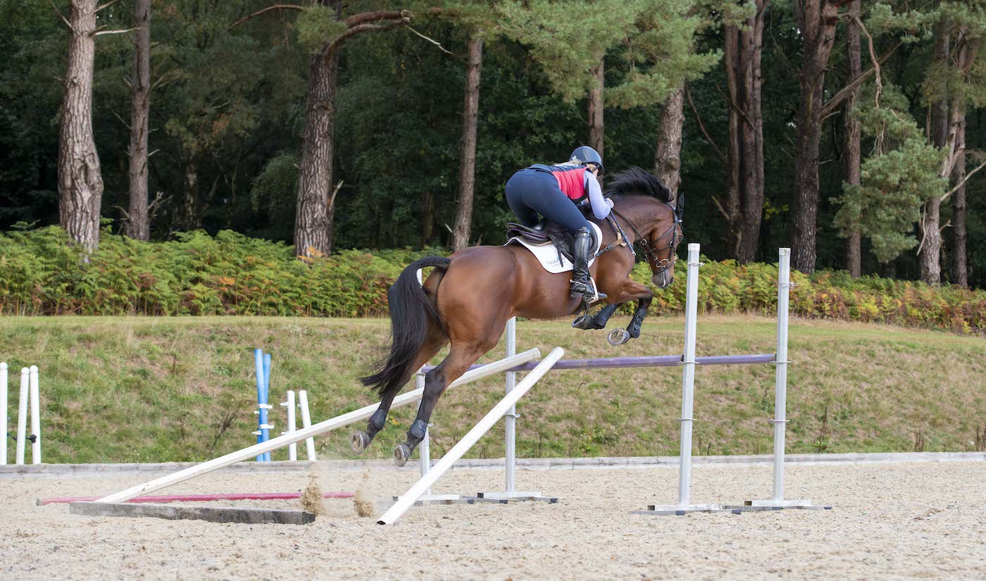 Horse jumping oxer