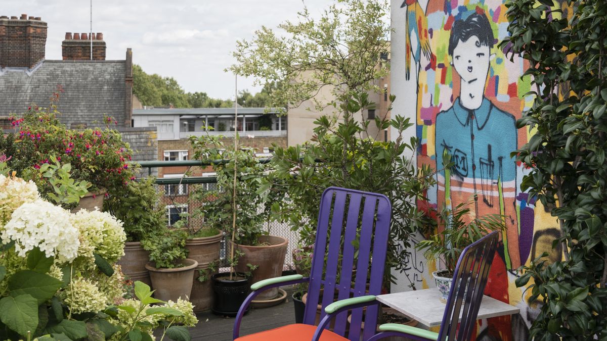 Un expert en jardinage révèle comment créer un espace de biodiversité sur un balcon du centre-ville