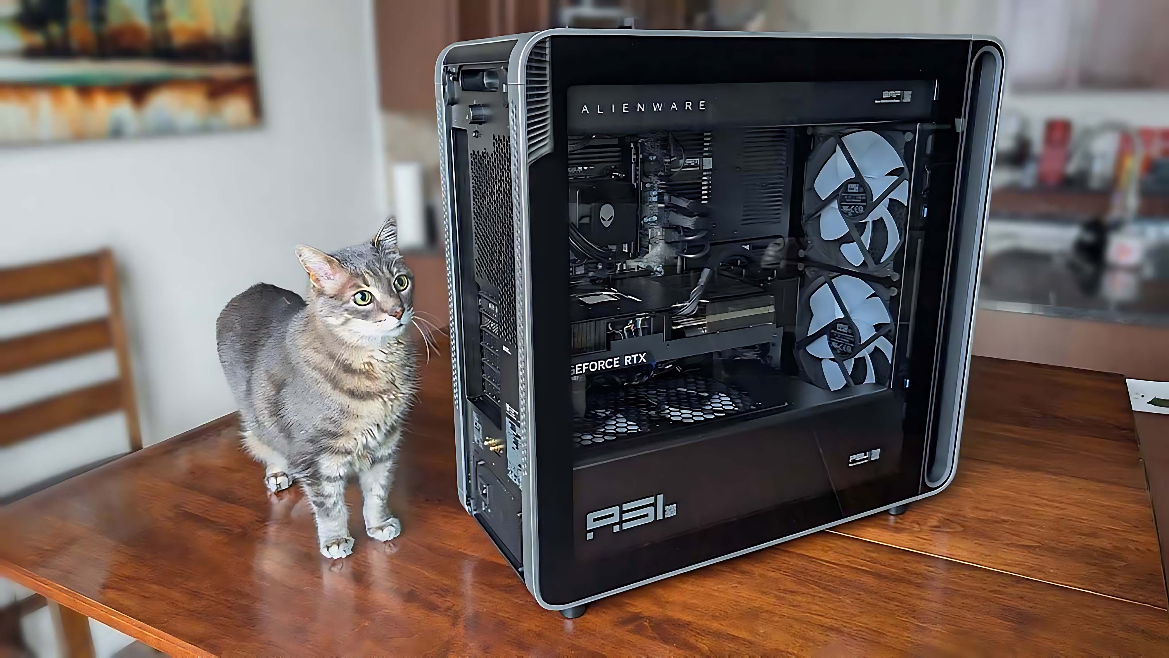 A cat on a table next to the Alienware Area-51 Gaming Desktop (2025).