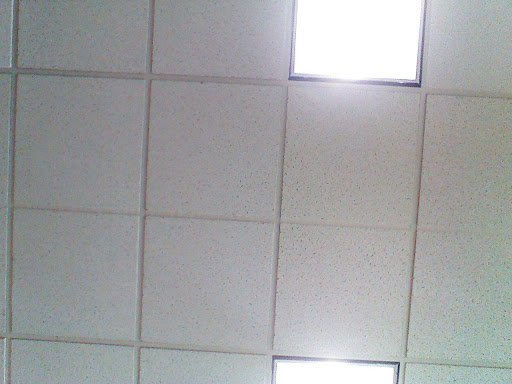 Picture taken by a