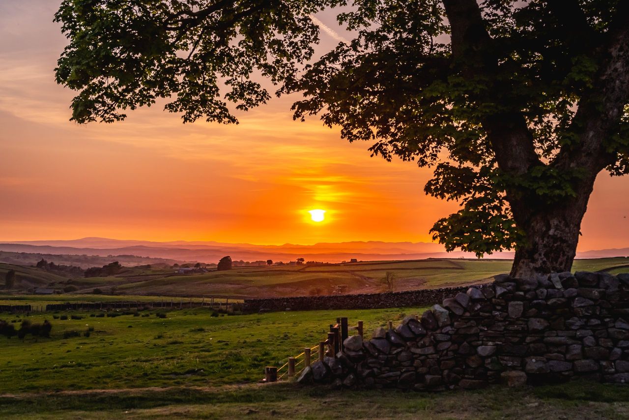 Widespread understanding of our uplands will aid the work to preserve these wild places